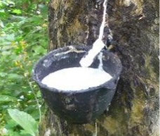 硅膠制品